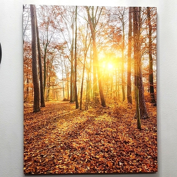 Lighted canvas print 16x20 New no tags - Picture 1 of 8
